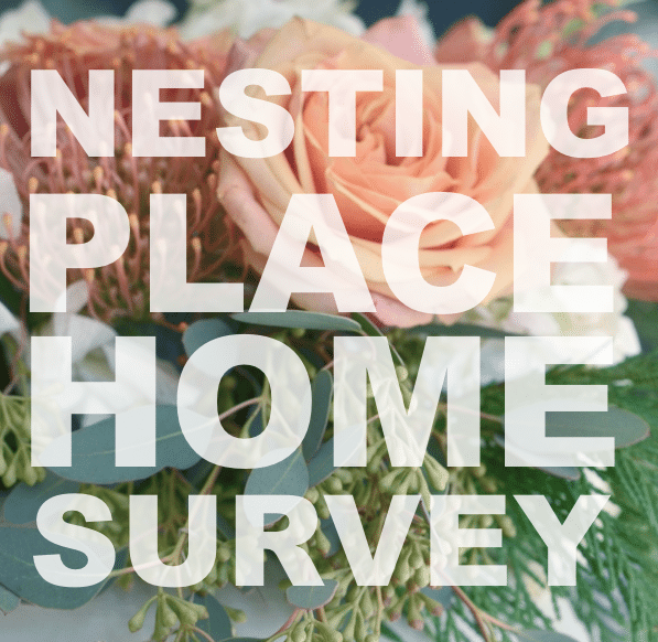 home survey